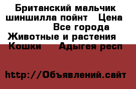 Британский мальчик шиншилла-пойнт › Цена ­ 5 000 - Все города Животные и растения » Кошки   . Адыгея респ.